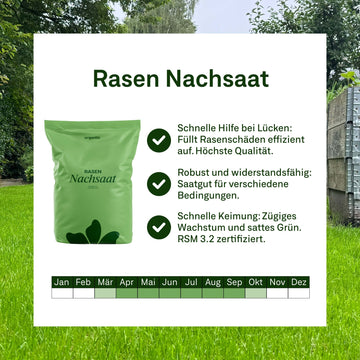 Rasendünger mit Unkrautvernichter + Nachsaat