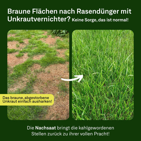 Rasendünger mit Unkrautvernichter + Nachsaat - organtic.com - Rasen, Pflanzen, Interior und mehr