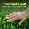 Rasenretter - Set - organtic.com - Rasen, Pflanzen, Interior und mehr