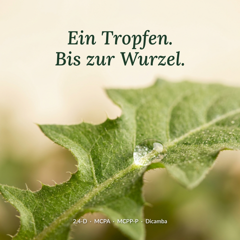 Sommerdünger mit Unkrautvernichter