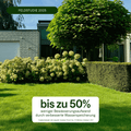 Sommer Power - Set - organtic.com - Rasen, Pflanzen, Interior und mehr