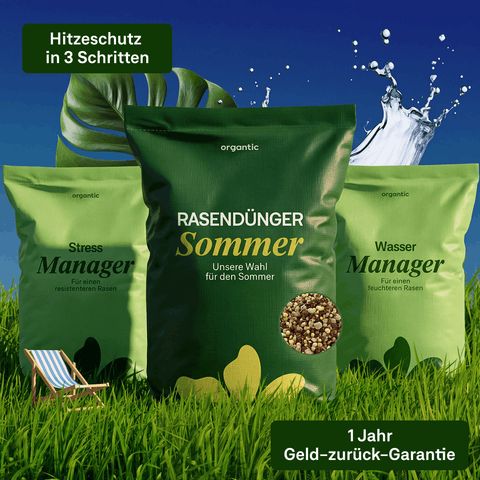 Sommer Power - Set - organtic.com - Rasen, Pflanzen, Interior und mehr