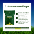 Sommer Power - Set - organtic.com - Rasen, Pflanzen, Interior und mehr