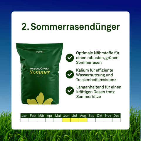 Sommer Power - Set - organtic.com - Rasen, Pflanzen, Interior und mehr