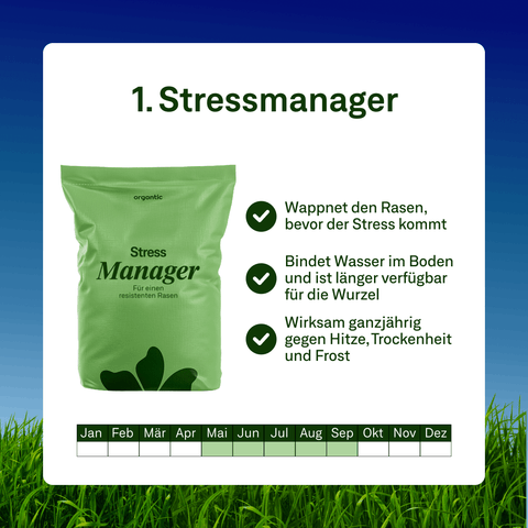 Sommer Power - Set - organtic.com - Rasen, Pflanzen, Interior und mehr