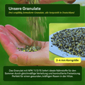 Sommer Power - Set - organtic.com - Rasen, Pflanzen, Interior und mehr