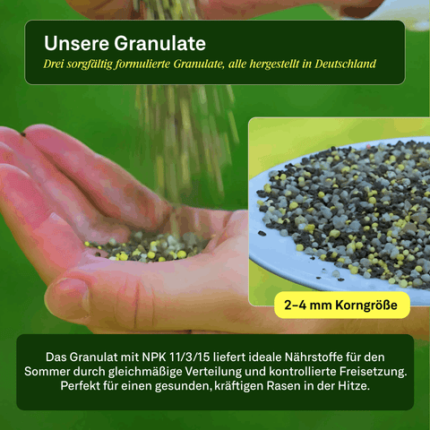 Sommer Power - Set - organtic.com - Rasen, Pflanzen, Interior und mehr