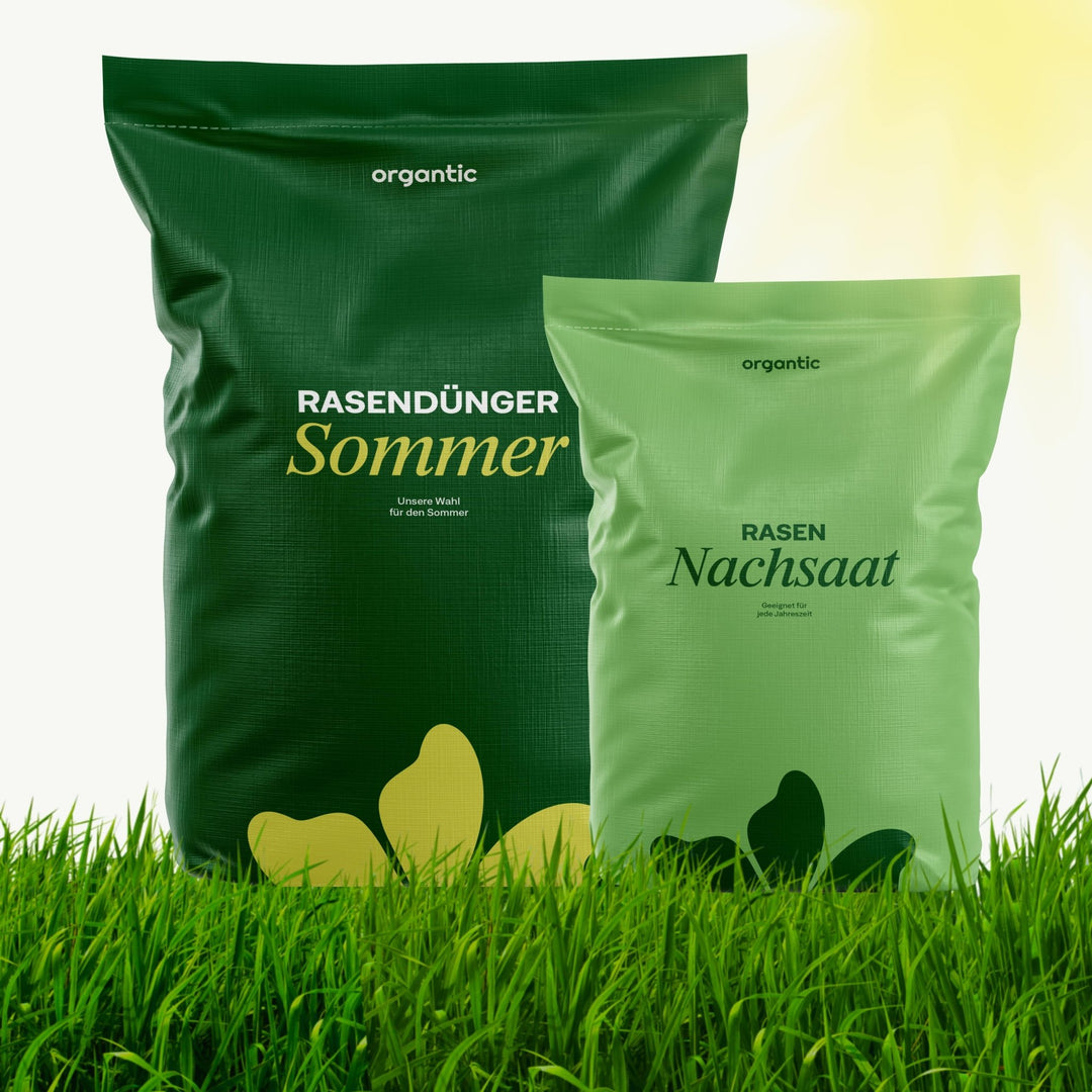Sommer-Rasenset – organtic.com