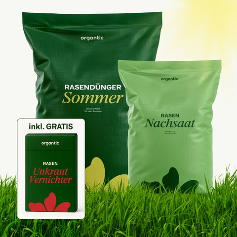 Sommer - Rasenset inkl. GRATIS Unkrautvernichter + Jahrespflegeplan (PDF) - organtic.com - Rasen, Pflanzen, Interior und mehr