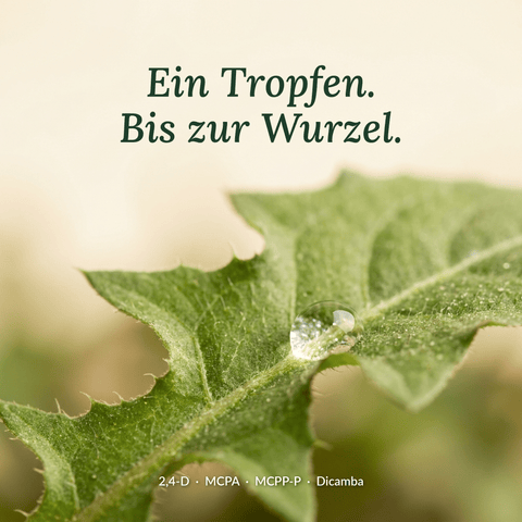 Sommerdünger mit Unkrautvernichter - organtic.com - Rasen, Pflanzen, Interior und mehr