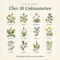 Sommerdünger mit Unkrautvernichter - organtic.com - Rasen, Pflanzen, Interior und mehr
