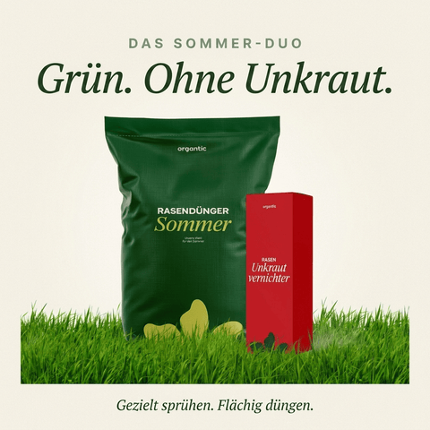 Sommerdünger mit Unkrautvernichter - organtic.com - Rasen, Pflanzen, Interior und mehr