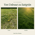 Sommerdünger mit Unkrautvernichter - organtic.com - Rasen, Pflanzen, Interior und mehr