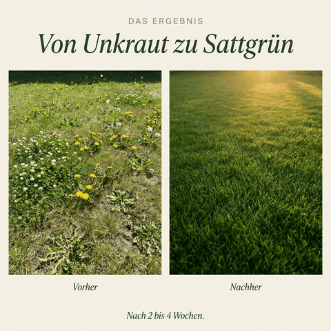 Sommerdünger mit Unkrautvernichter - organtic.com - Rasen, Pflanzen, Interior und mehr