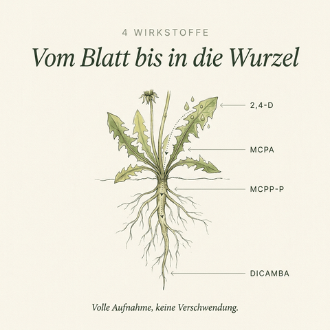 Sommerdünger mit Unkrautvernichter - organtic.com - Rasen, Pflanzen, Interior und mehr