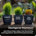 Sommerrasendünger - organtic.com - Rasen, Pflanzen, Interior und mehr