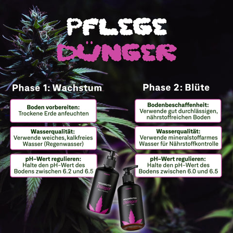 Starter Set - Phase 1 + 2 (Wachstum + Blüte) - organtic.com - Rasen, Pflanzen, Interior und mehr