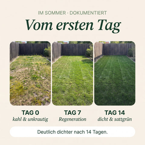 Unkraut-Stopp Set - Sommer - organtic.com - Rasen, Pflanzen, Interior und mehr