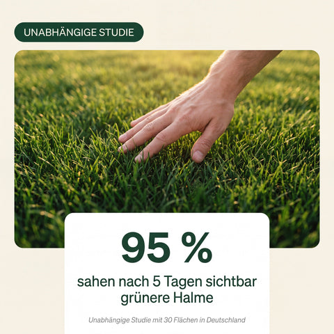 Unkraut-Stopp Set - Sommer - organtic.com - Rasen, Pflanzen, Interior und mehr