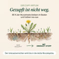 Unkraut-Stopp Set - Sommer - organtic.com - Rasen, Pflanzen, Interior und mehr